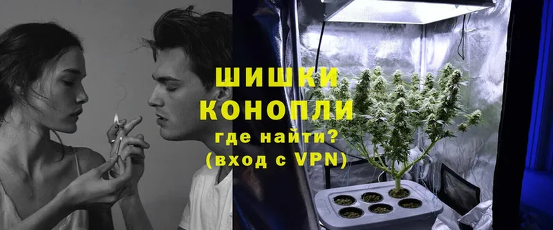 Бошки марихуана ГИДРОПОН  где купить наркоту  KRAKEN зеркало  Жердевка 